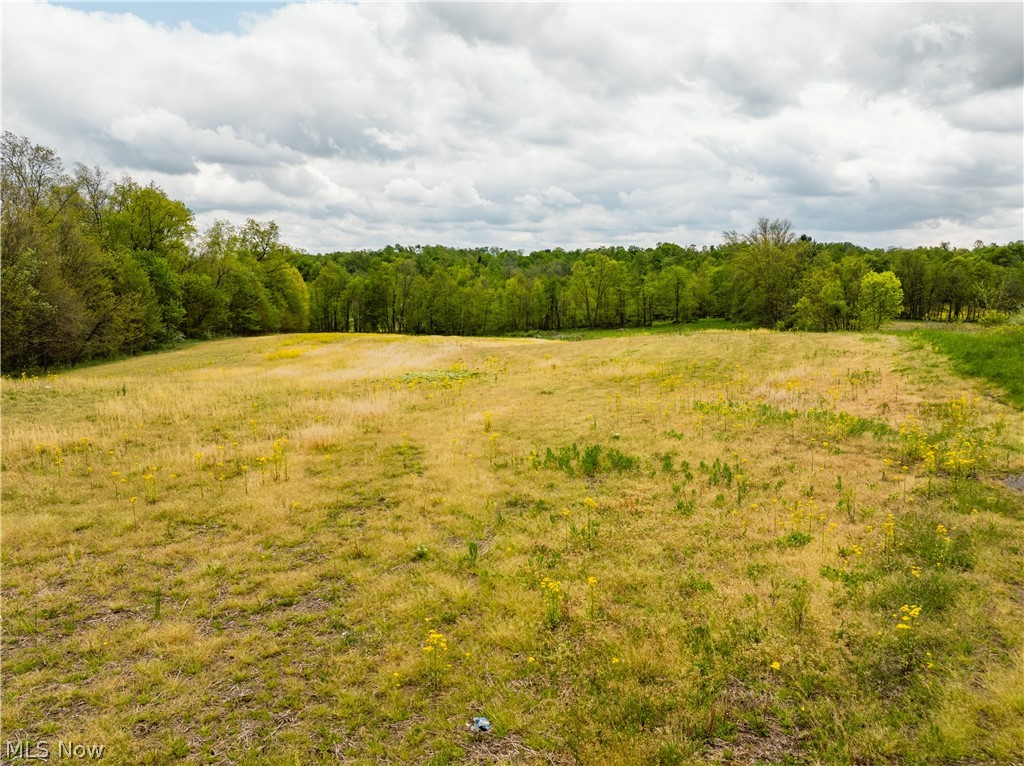Garver Road Mansfield, OH 44903 - Photo 34 of 48