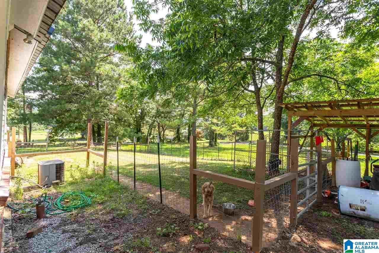 340 Old Springs Road Springville, AL 35146 - Photo 29 of 37