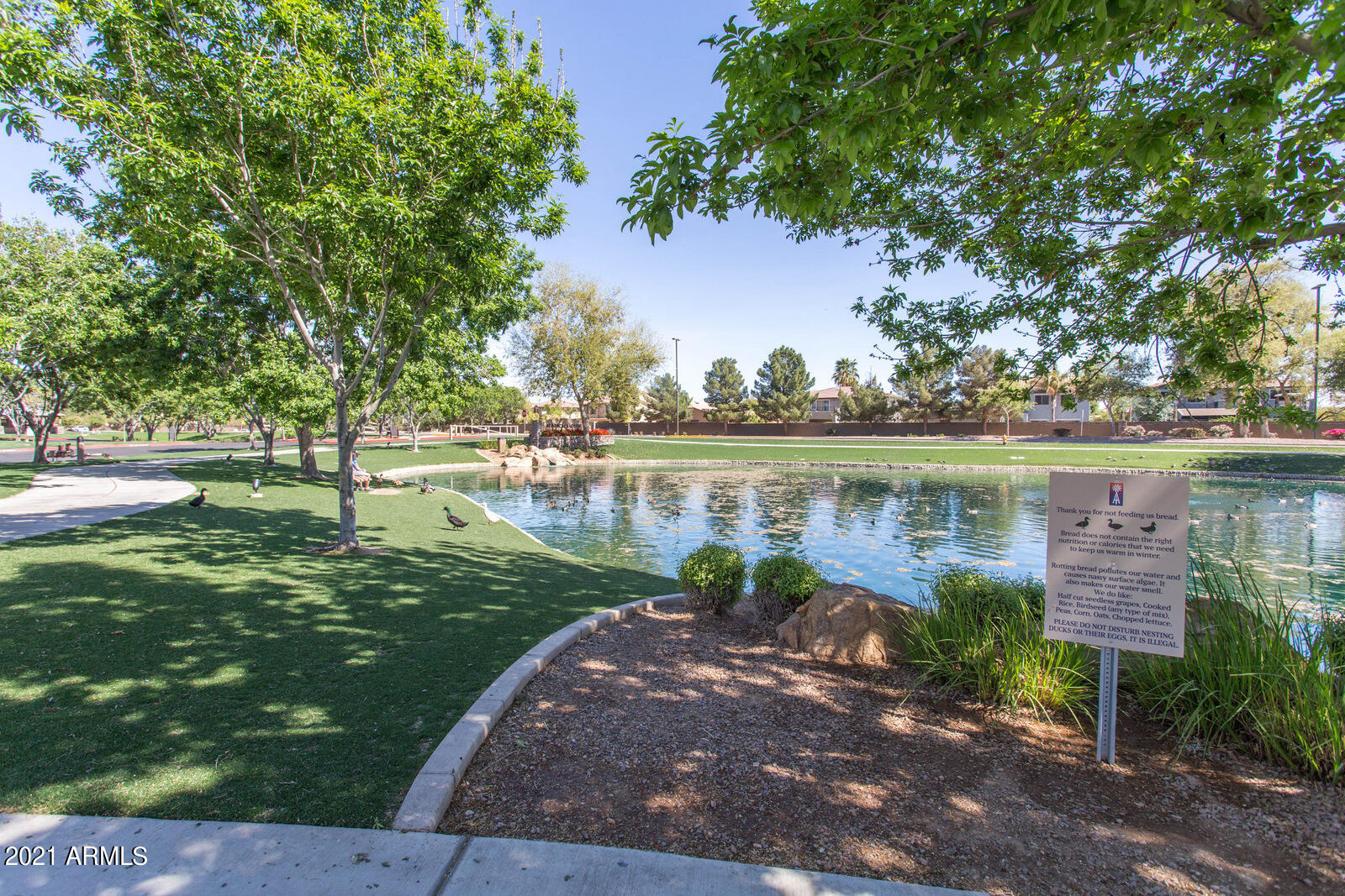 3949 South Splendor Place Gilbert, AZ 85297 - Photo 54 of 55 IMG_9730