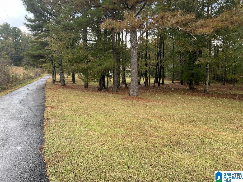 631 Burtram Road Springville, AL 35146 - Photo 38 of 40 Gallery Image 38