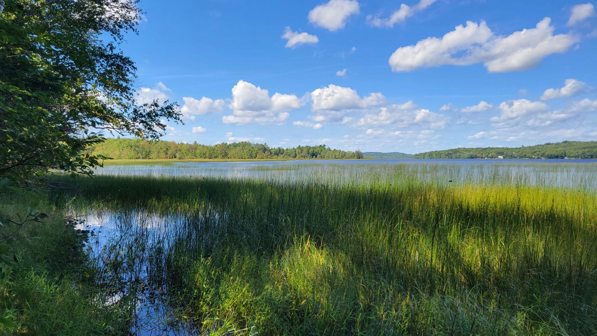 0 Robbinston Ridge Road Pembroke, ME 04666 - Photo 4 of 24 Pennamaquan Lake 3