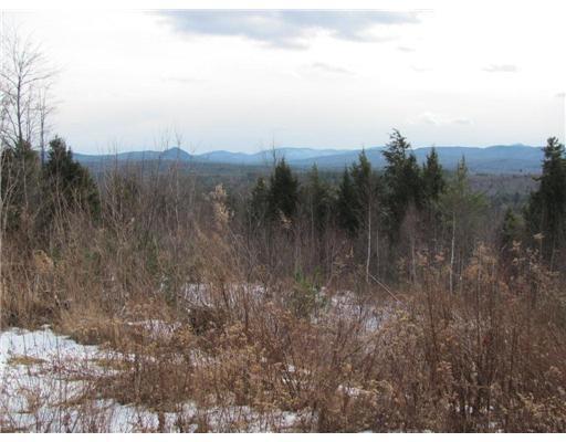 1289 West Side Road Weld, ME 04285 - Photo 1 of 14 Land.