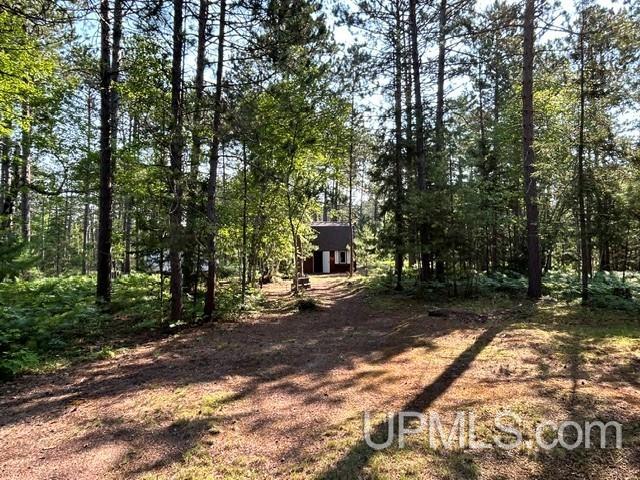 Lot 62 Little Rice Lake Road Lake Linden, MI 49945 - Photo 35 of 52 Gallery Image 35