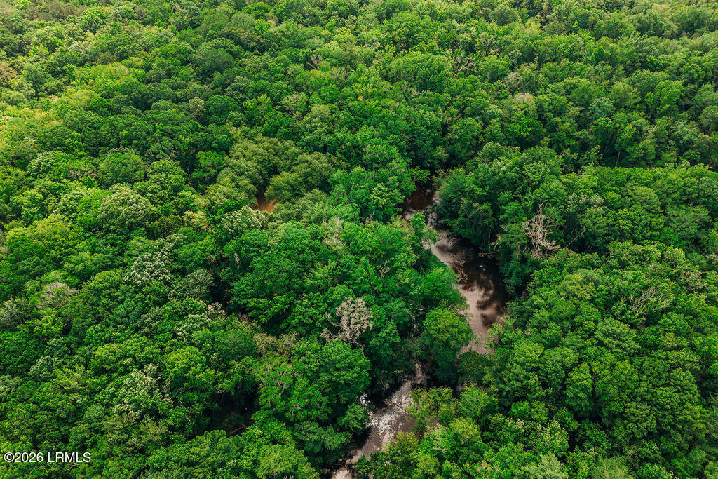 0 Parnel Road Cope, SC 29038 - Photo 6 of 13 DJI_20260511113954_0136_D