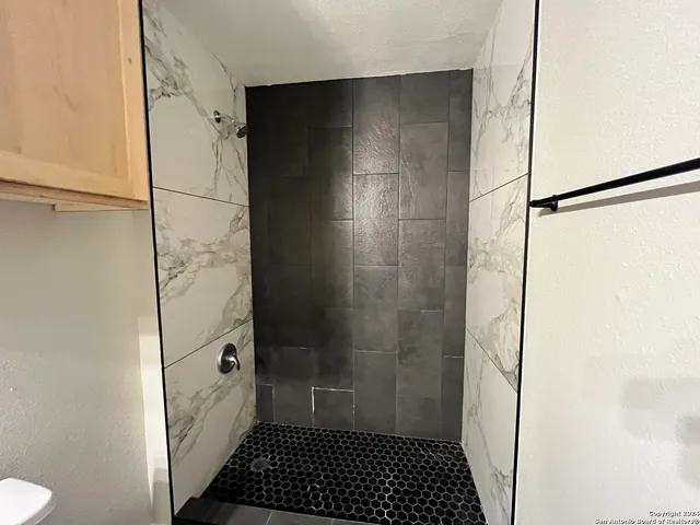 a bathroom with a shower and a toilet