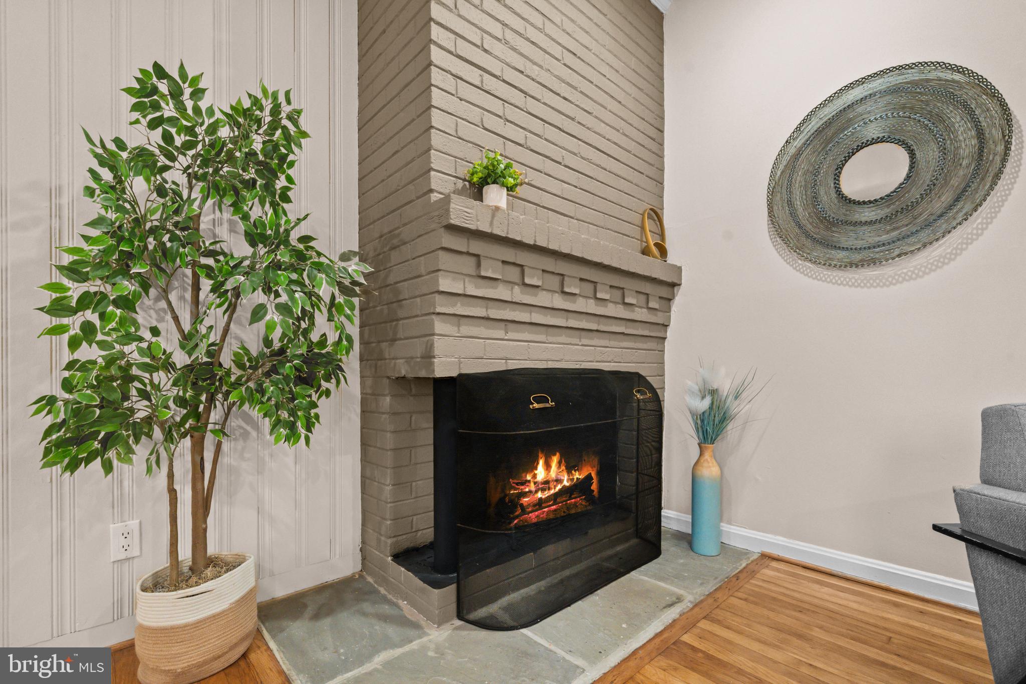 11313 College View Drive Silver Spring, MD 20902 - Photo 4 of 43