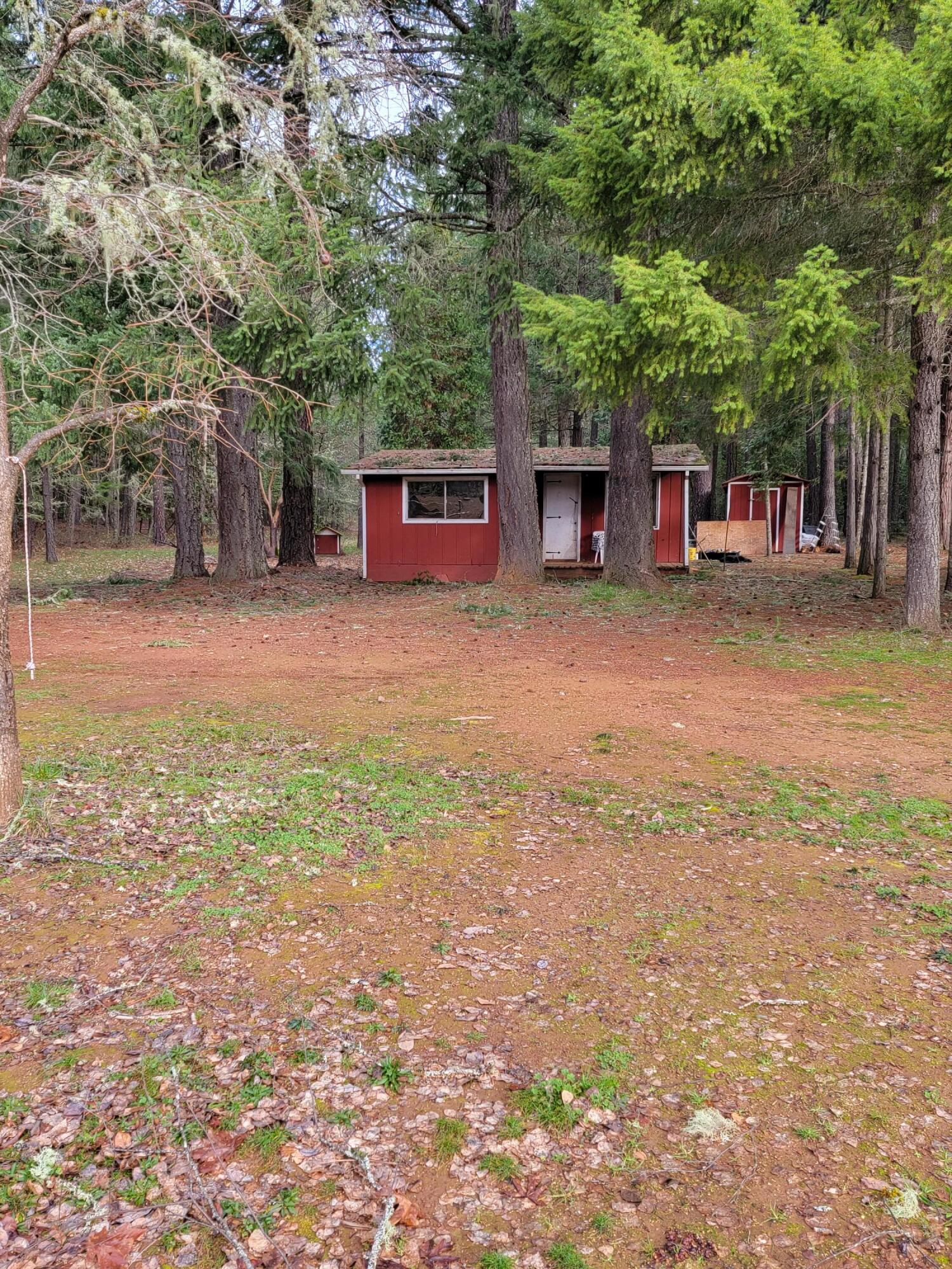 4154 Deer Creek Road Selma, OR 97538 - Photo 12 of 45 20220120_093835