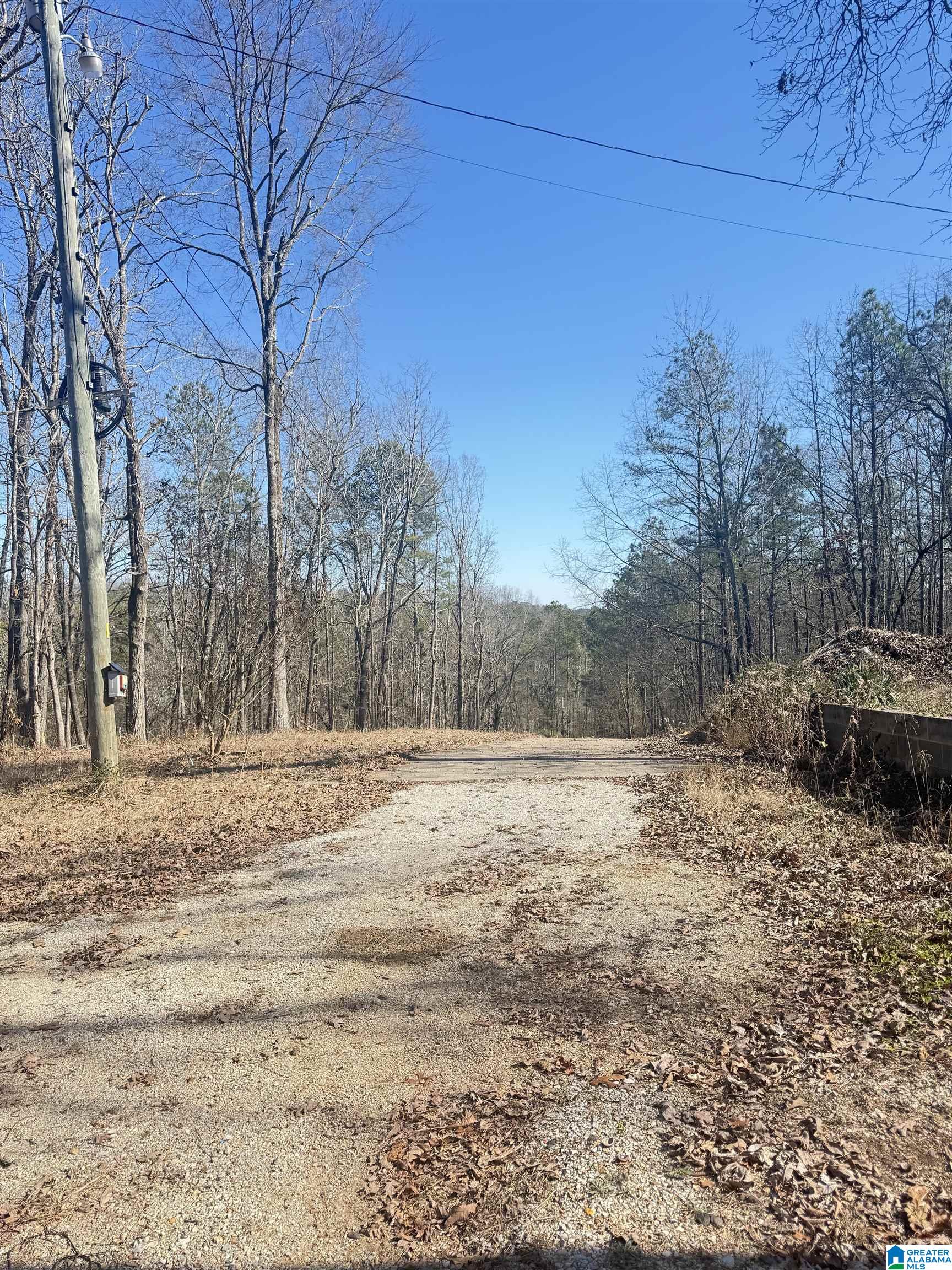 295 Country Lane Talladega, AL 35160 - Photo 9 of 42