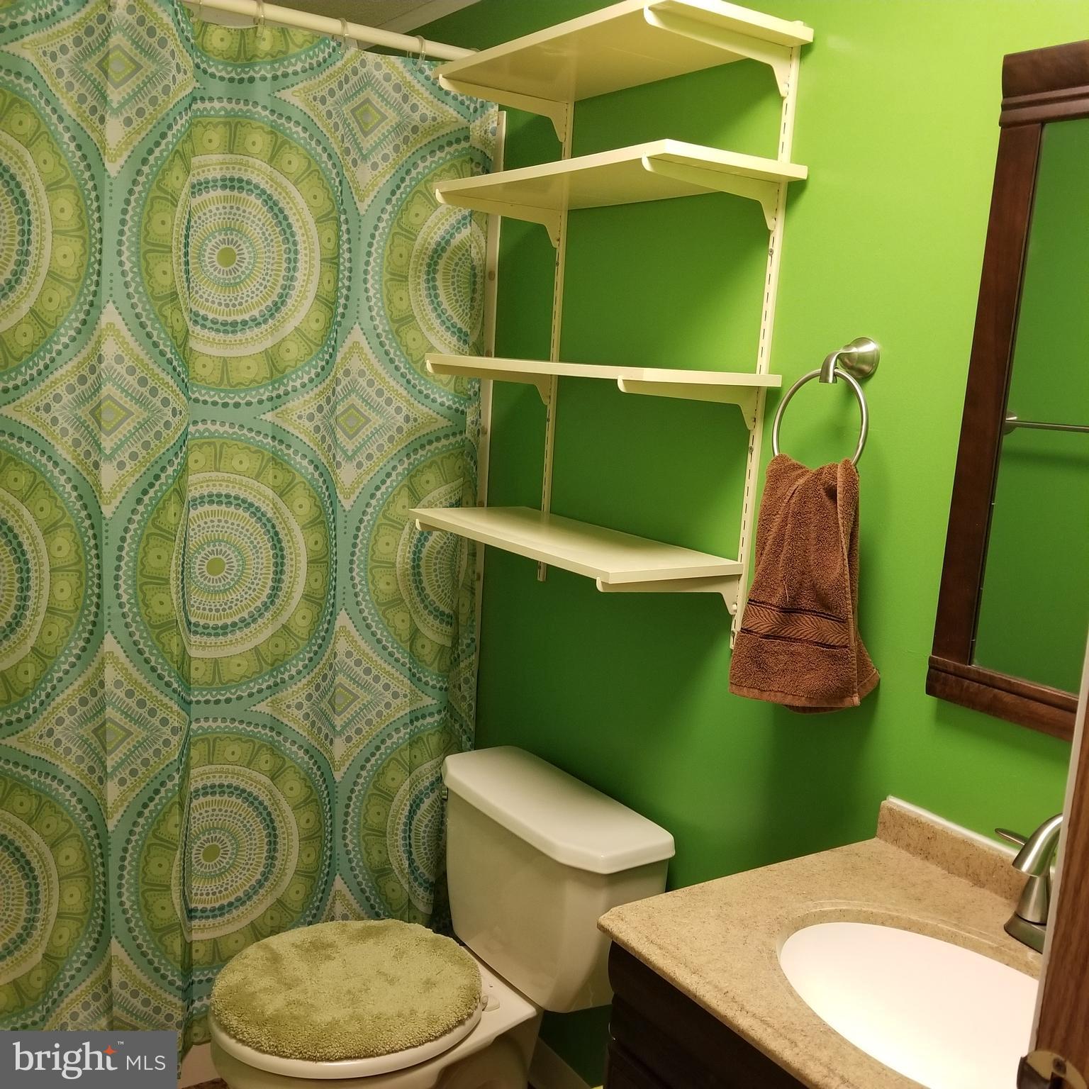 18650 Reedy Road Marydel, MD 21649 - Photo 20 of 28 Gallery Image 20