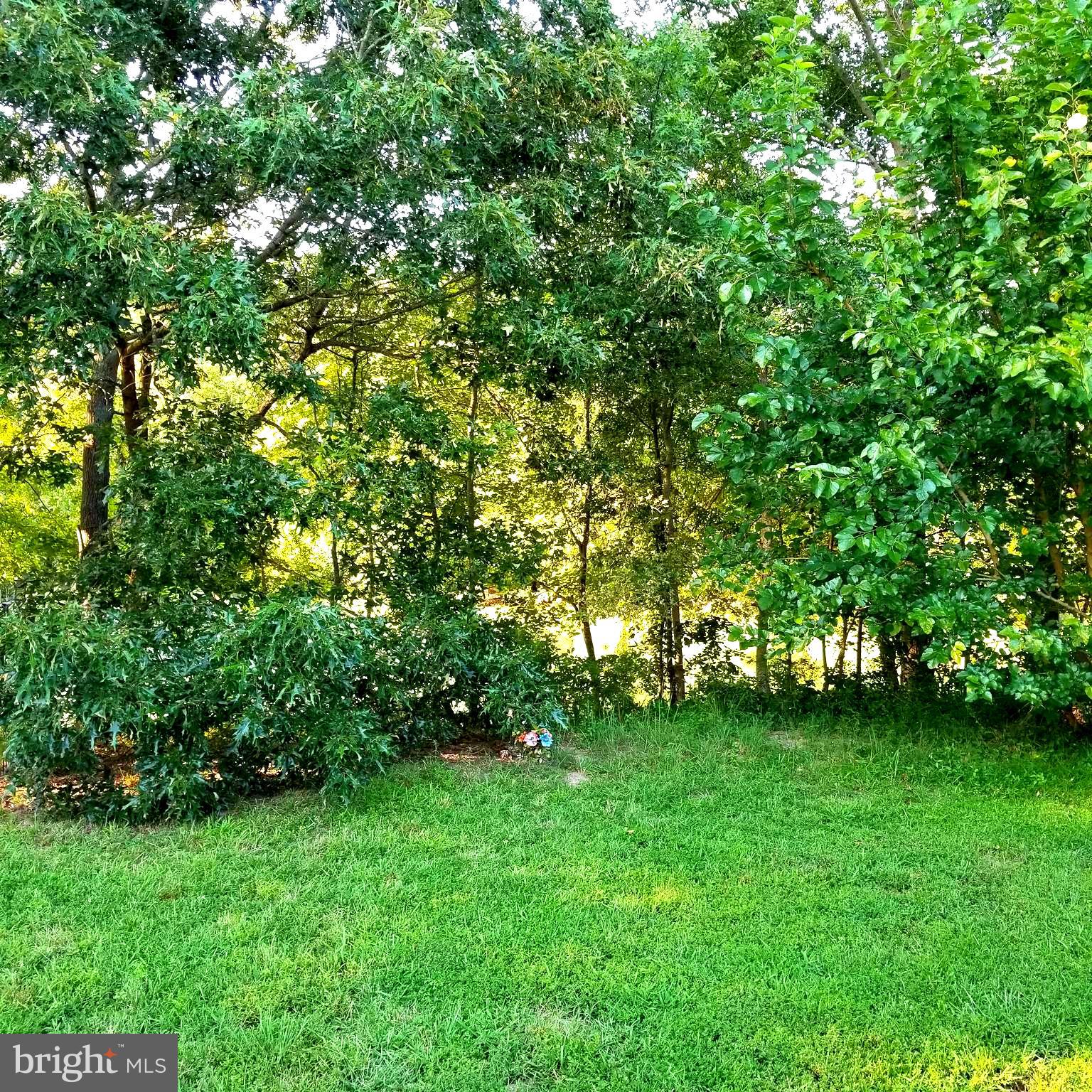 18650 Reedy Road Marydel, MD 21649 - Photo 23 of 28 Gallery Image 23