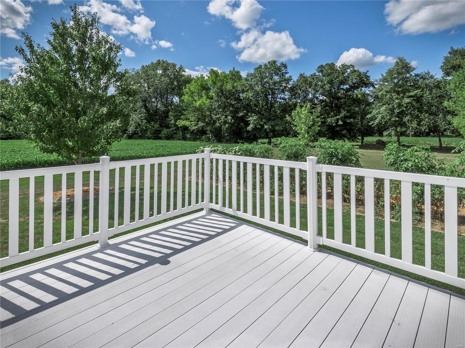 1361 Ayers Road Greenville, IL 62246 - Photo 11 of 45 Gallery Image 11