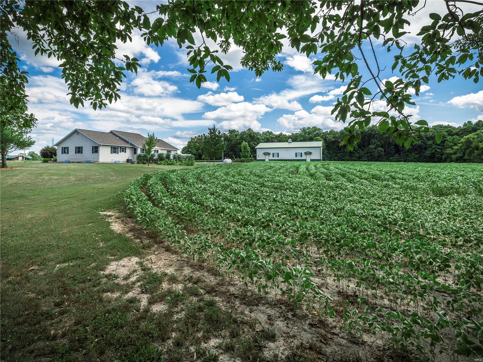 1361 Ayers Road Greenville, IL 62246 - Photo 12 of 45 Gallery Image 12