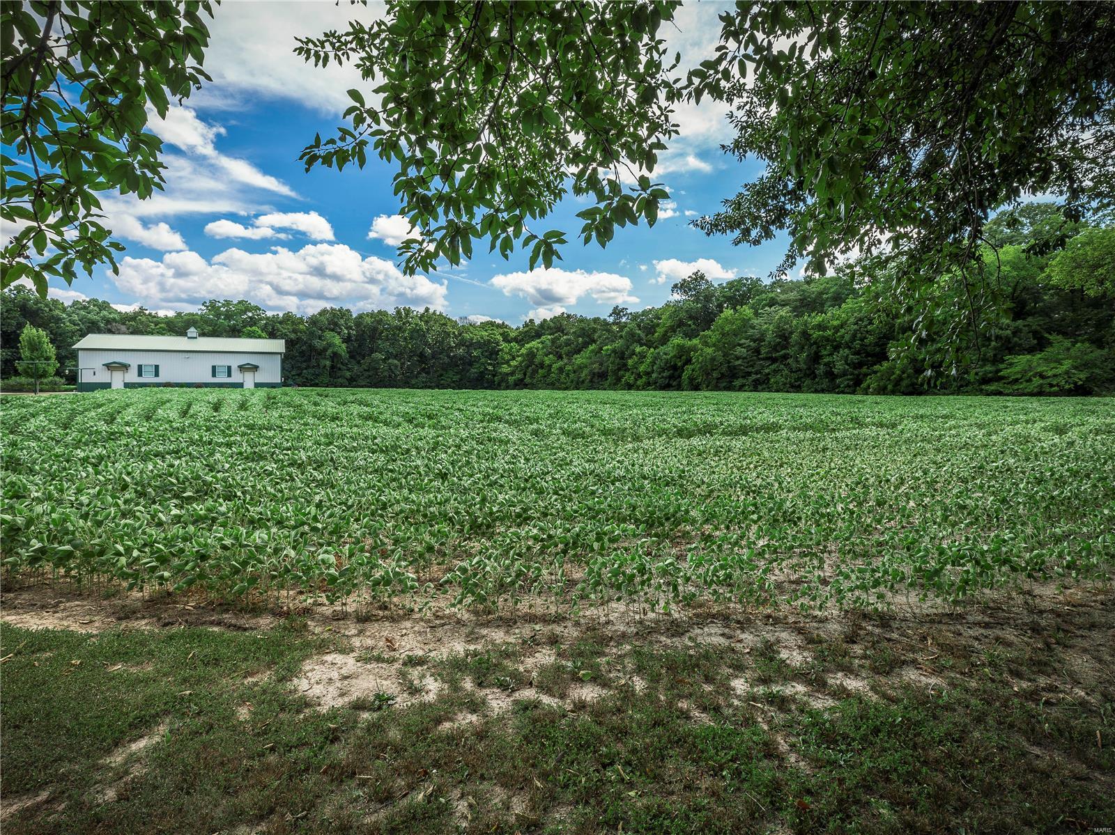 1361 Ayers Road Greenville, IL 62246 - Photo 13 of 45 Gallery Image 13