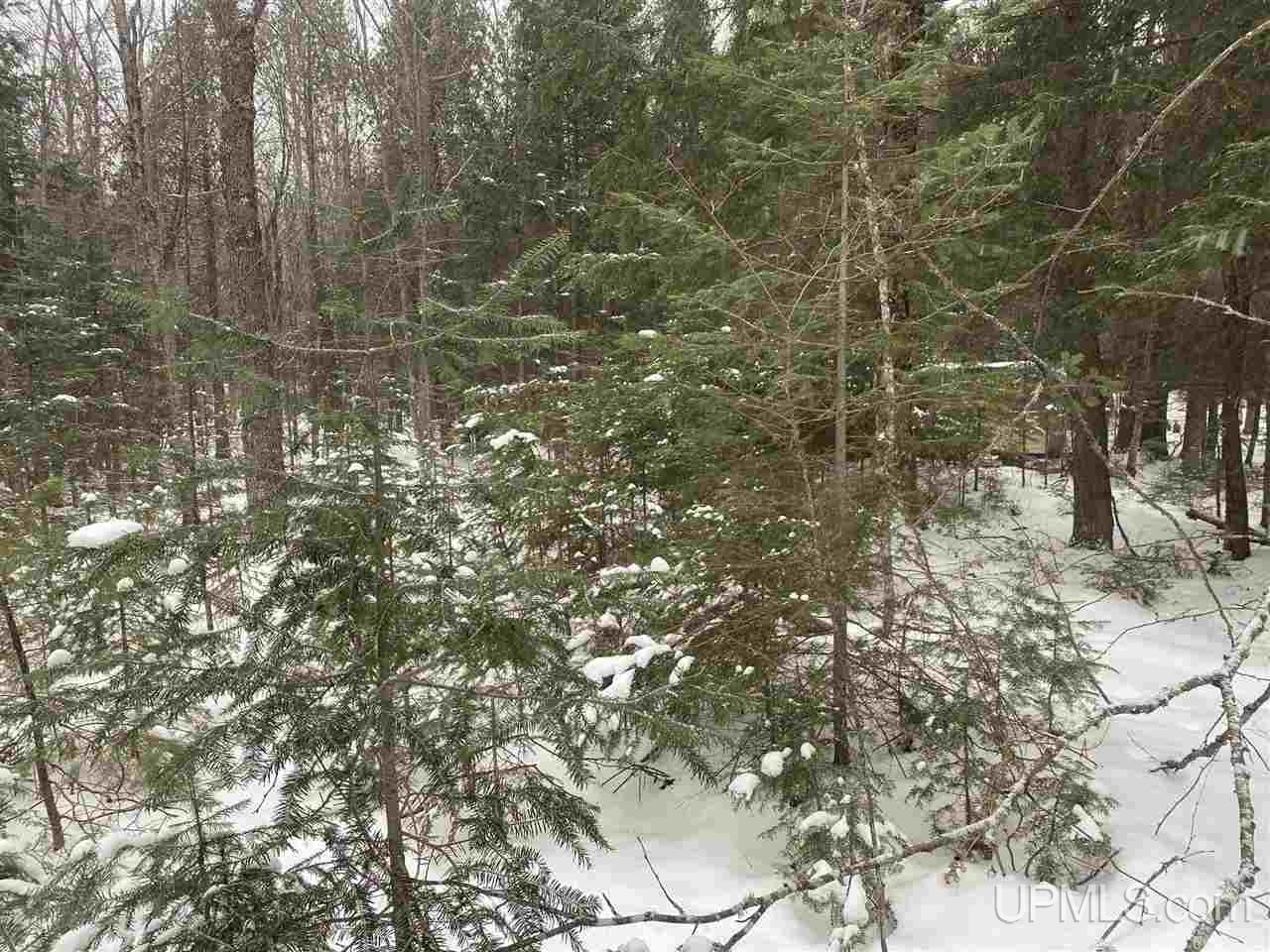 171 Blue Road Mass City, MI 49948 - Photo 7 of 13