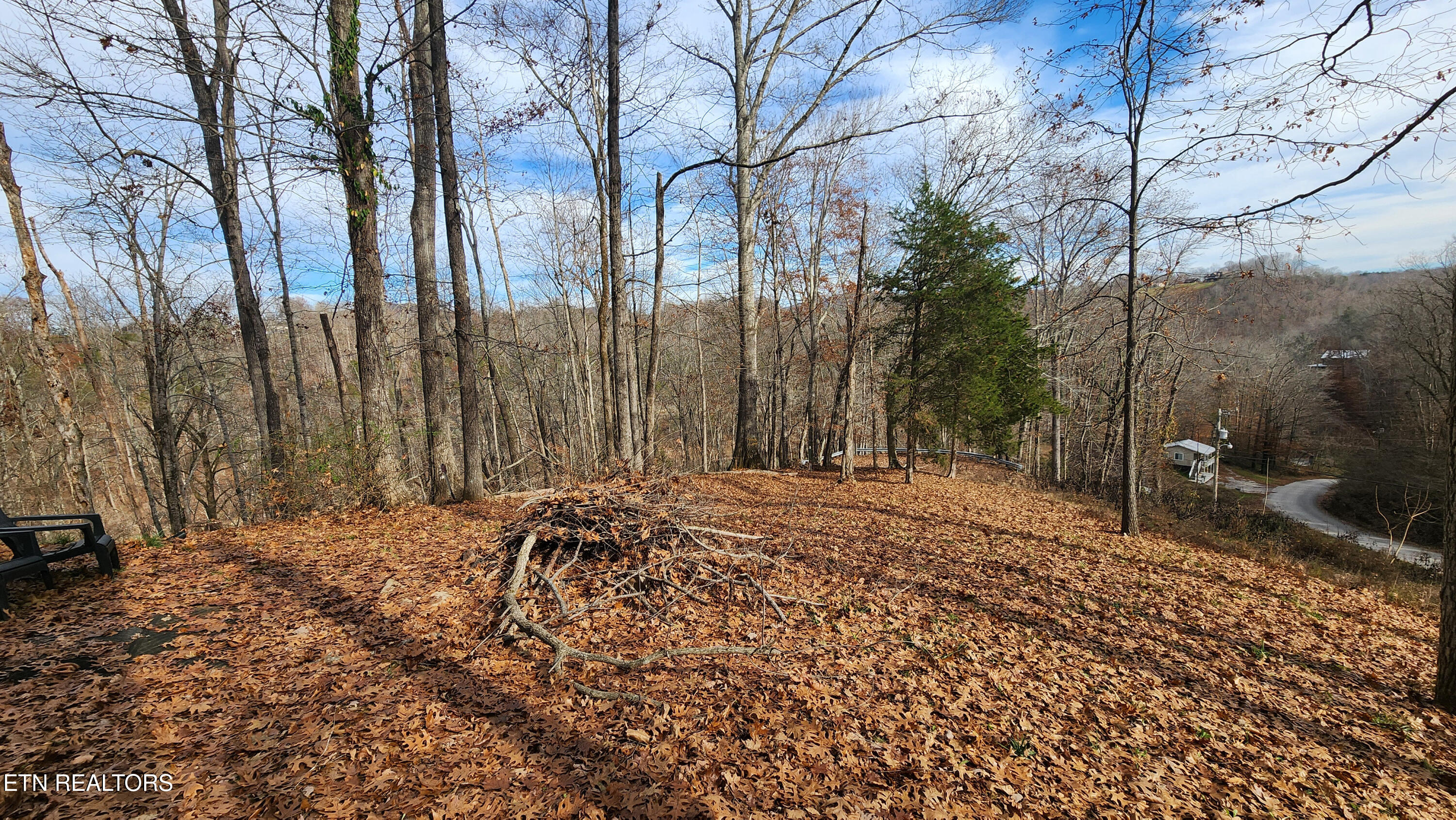 5615 Eastport Road Alpine, TN 38543 - Photo 46 of 60 5615 Eastport Dock Rd -- Outdoor Right s