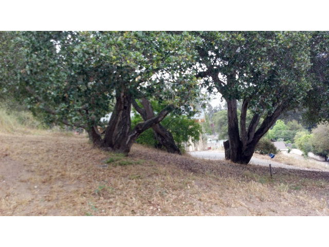 39 Boling Road Watsonville, CA 95076 - Photo 4 of 9 Gallery Image 4