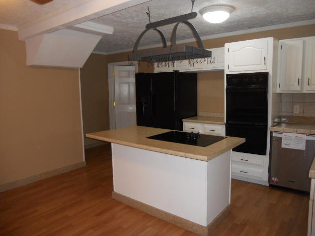 1749 Haggard Road Sevierville, TN 37876 - Photo 3 of 28 kitchen (2)