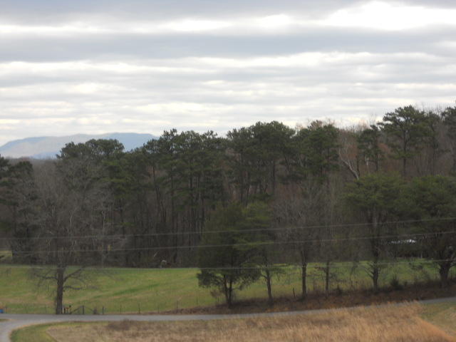 1749 Haggard Road Sevierville, TN 37876 - Photo 22 of 28 mountain view (2)