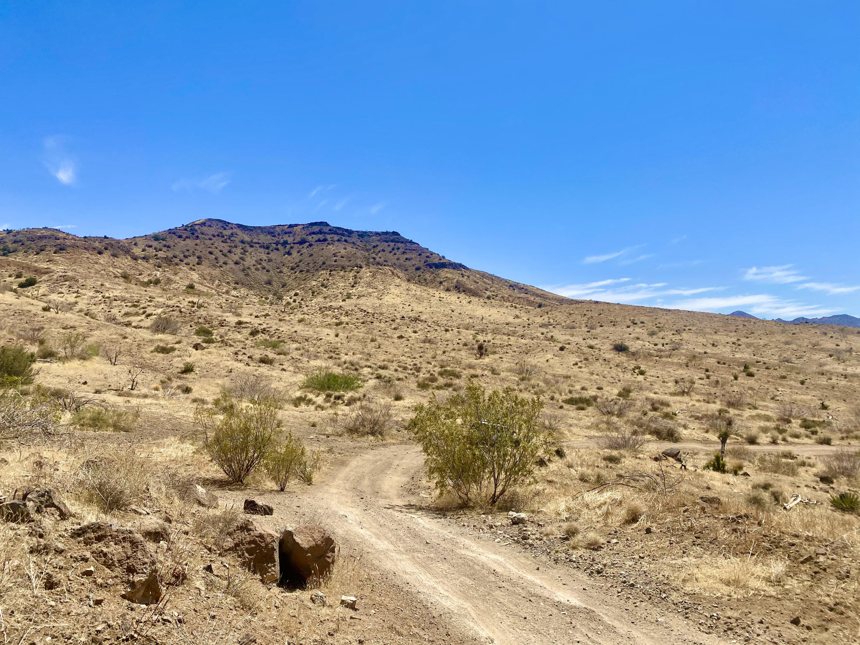 4058 Desert Moon Road Yucca Valley, CA 92284 - Photo 11 of 30 IMG_2317