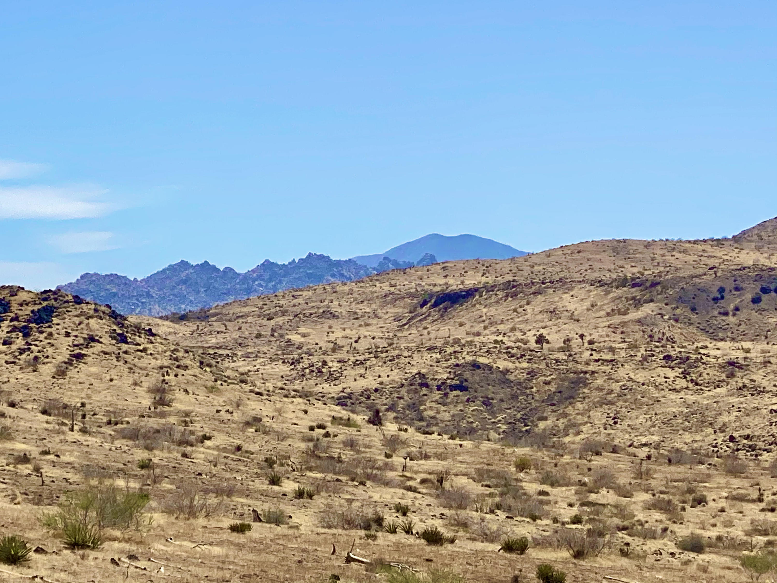 4058 Desert Moon Road Yucca Valley, CA 92284 - Photo 14 of 30 IMG_2322