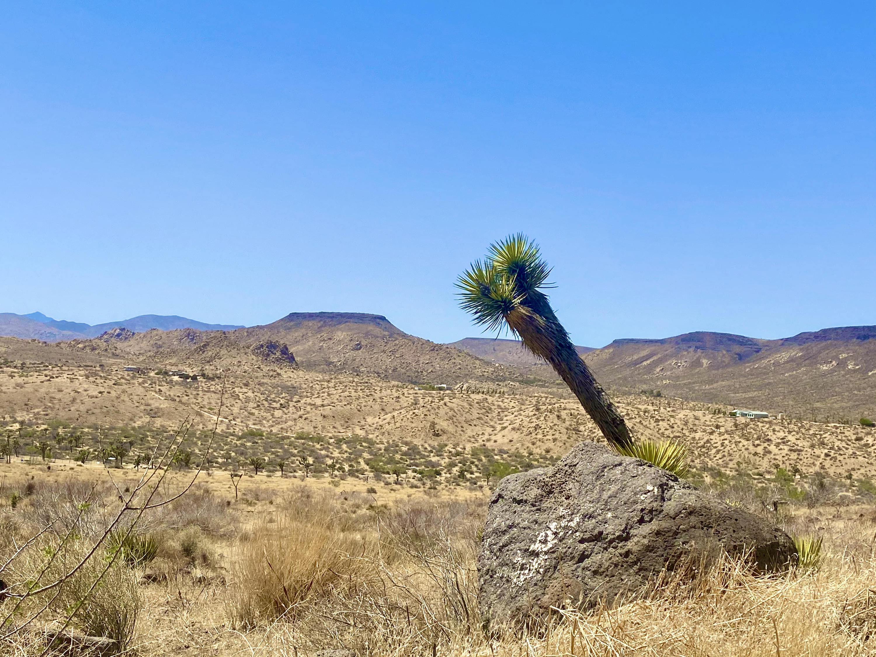 4058 Desert Moon Road Yucca Valley, CA 92284 - Photo 18 of 30 IMG_2328