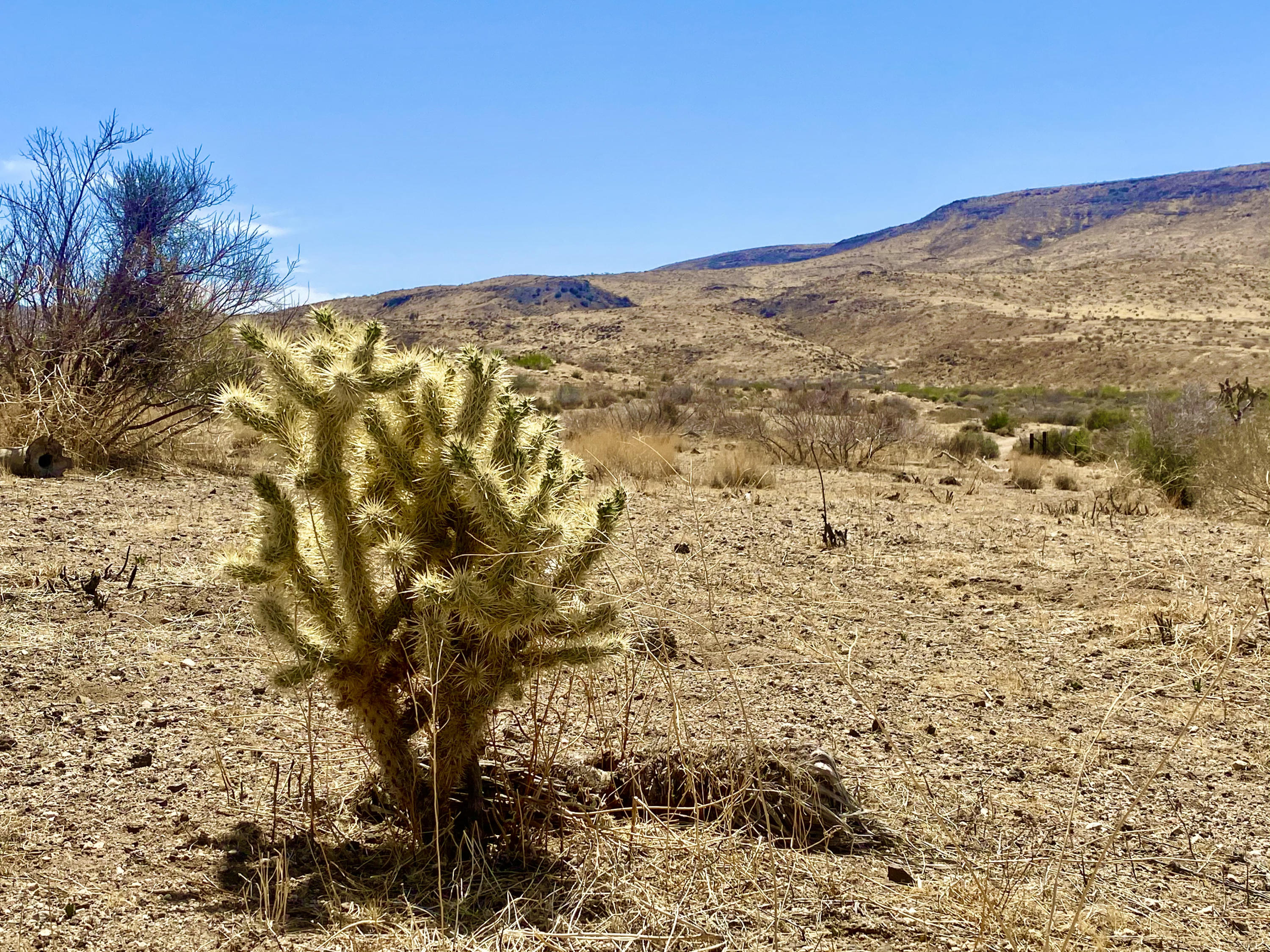 4058 Desert Moon Road Yucca Valley, CA 92284 - Photo 22 of 30 IMG_2340
