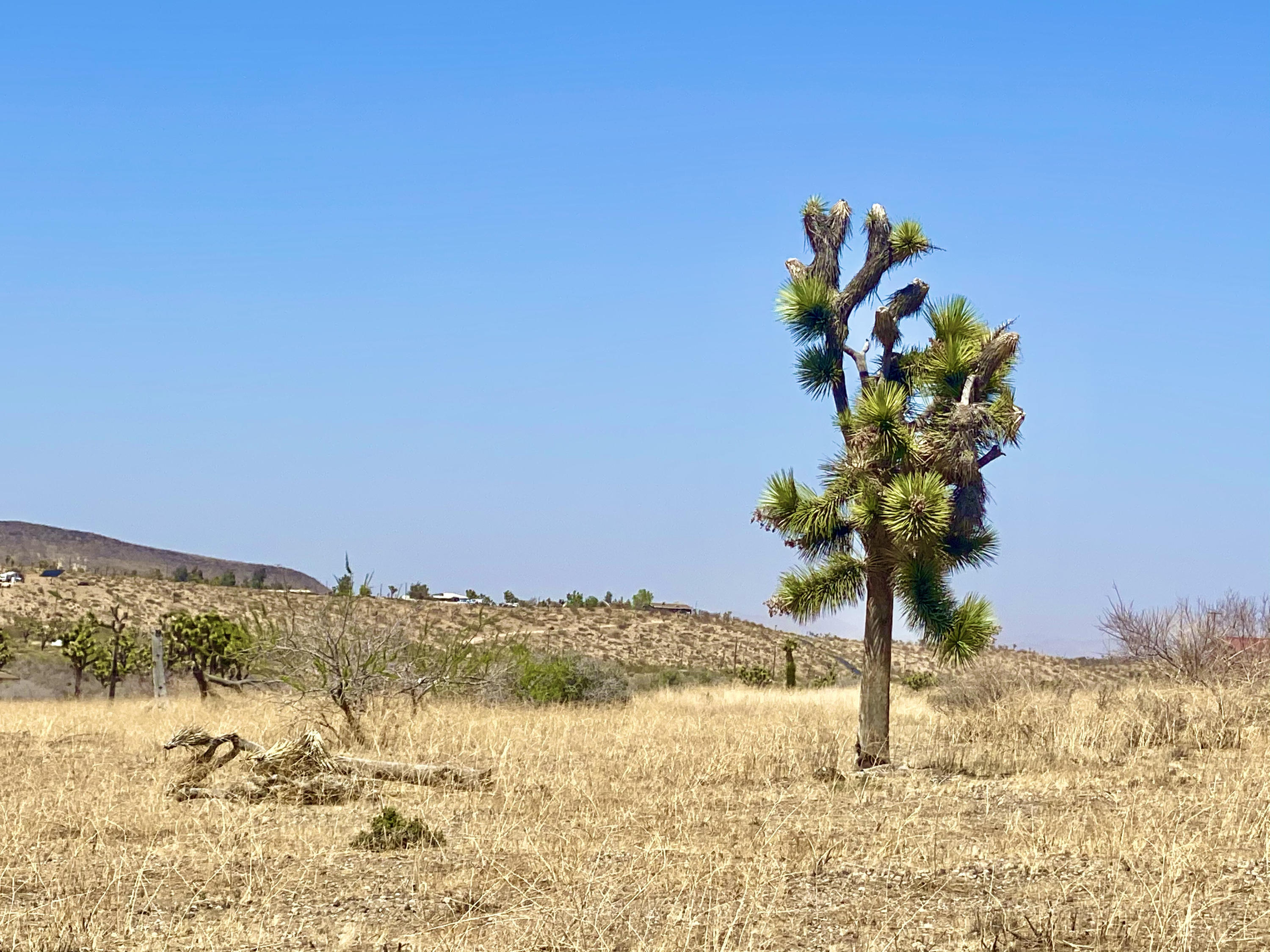4058 Desert Moon Road Yucca Valley, CA 92284 - Photo 25 of 30 IMG_2348