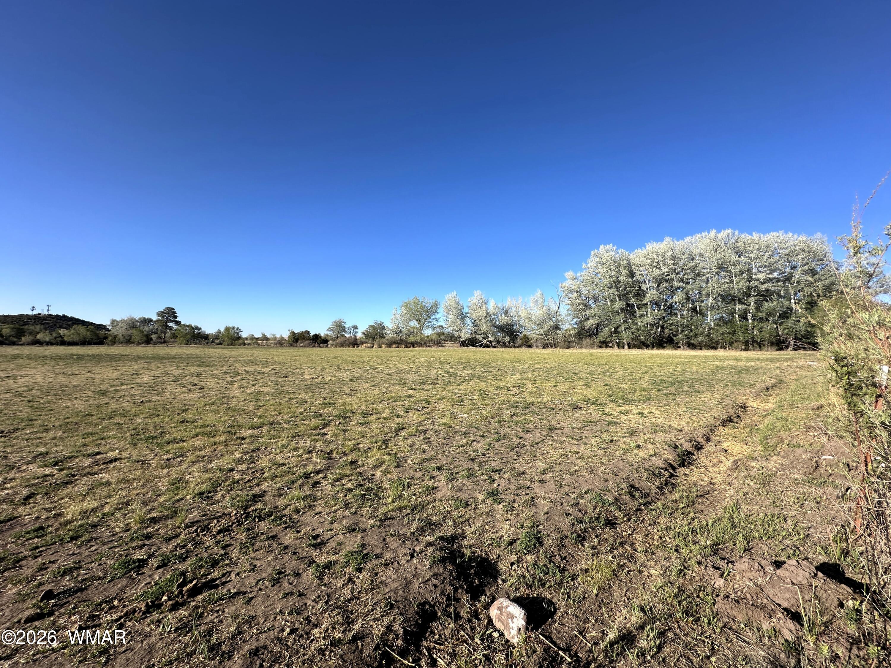 Tbd West School Bus Road Eagar, AZ 85925 - Photo 6 of 10