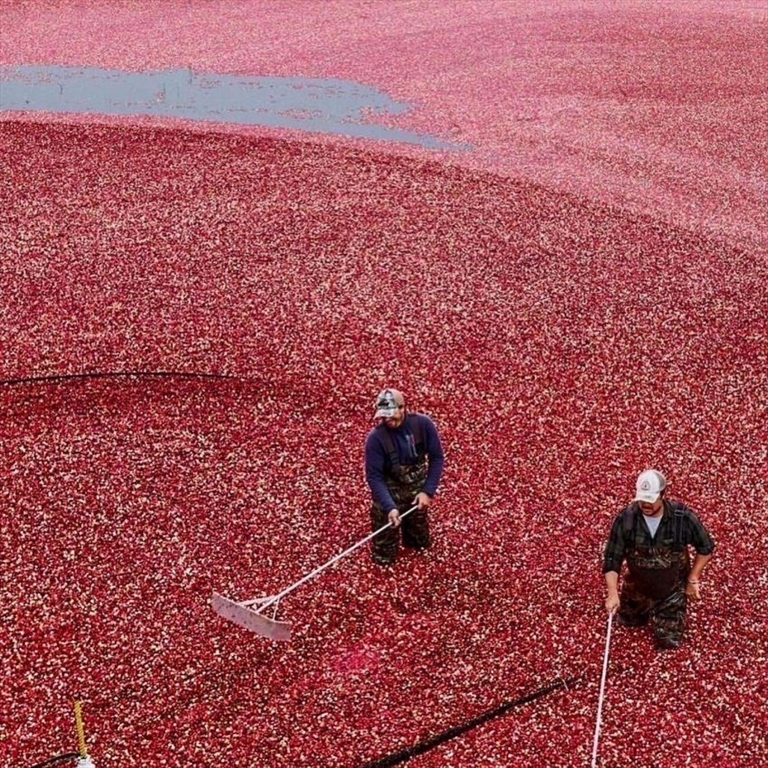 29 Carleton Street, Unit 29 Wareham, MA 02558 - Photo 37 of 39