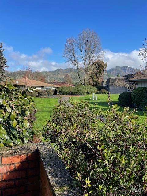 a view of a garden with an outdoor space