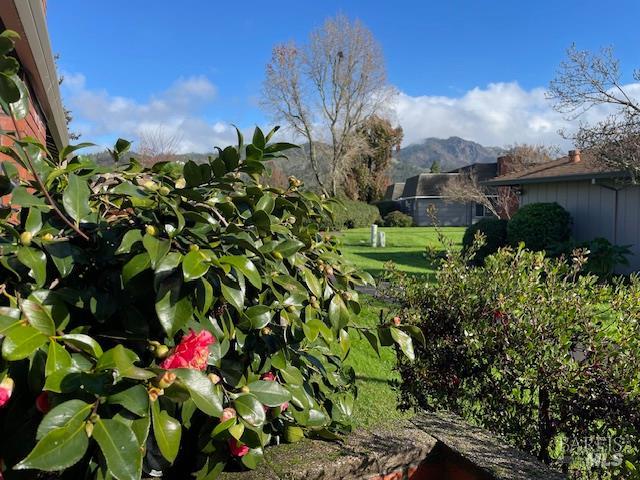 27 Woodgreen Street Santa Rosa, CA 95409 - Photo 10 of 11 a flower plants in front of a house
