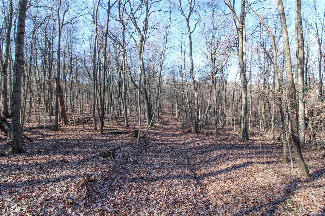 0 Pleasant Chapel Road Southeast Newark, OH 43056 - Photo 3 of 23 View of yard featuring a forest view