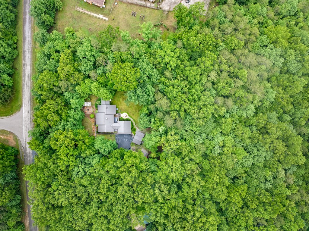 1320 Laurel Way Monterey, TN 38574 - Photo 28 of 67