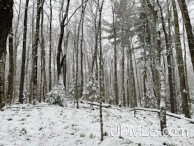 94-acres Peter White Road Deerton, MI 49822 - Photo 20 of 24