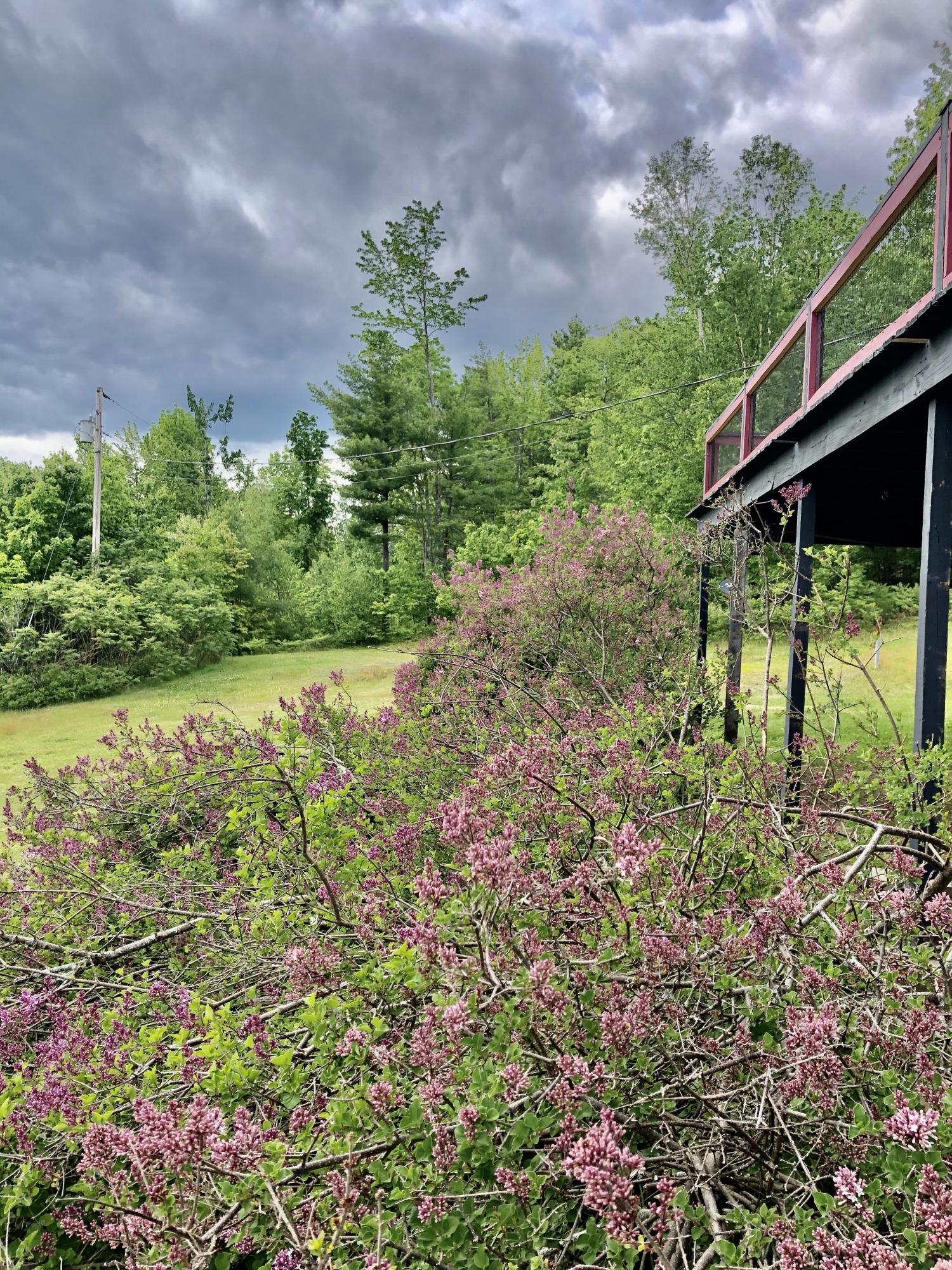 428 Black Mountain Road Harrison, ME 04040 - Photo 45 of 49 lilacs
