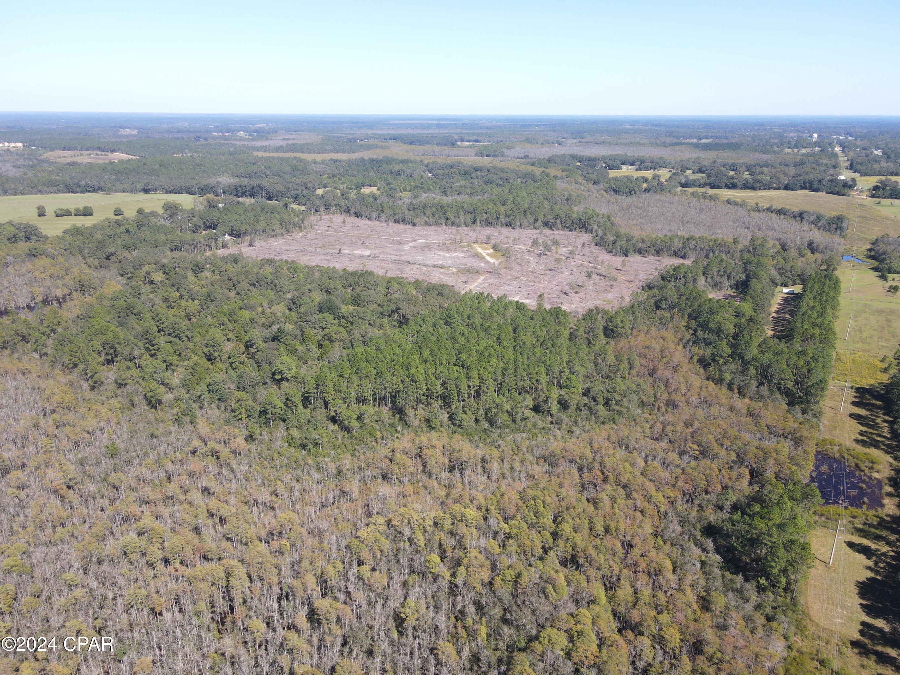 2270 Boswell Road Bonifay, FL 32425 - Photo 26 of 33 Gallery Image 26
