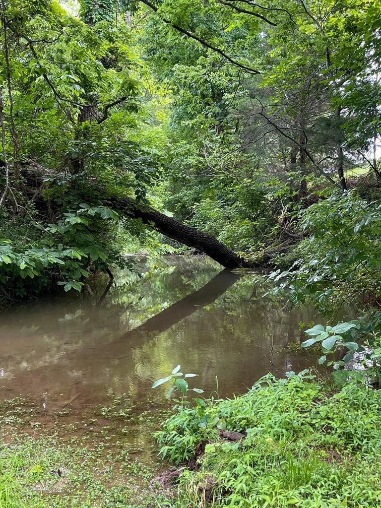 3416 Forge Road Glasgow, VA 24555 - Photo 27 of 51 an aerial view of lake
