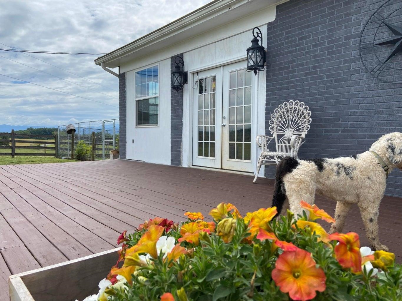 3416 Forge Road Glasgow, VA 24555 - Photo 44 of 51 a front view of a house with a yard and seating area