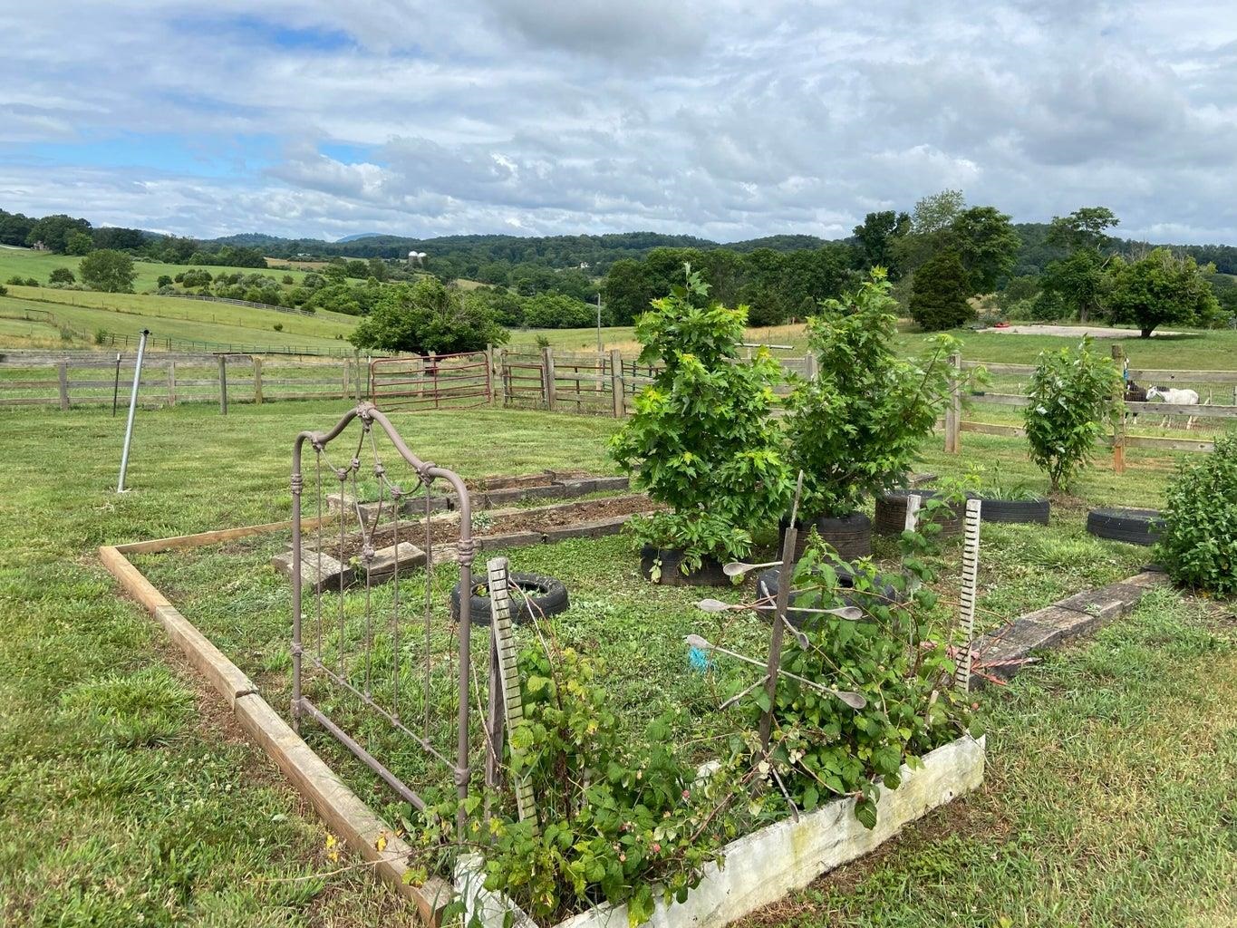 3416 Forge Road Glasgow, VA 24555 - Photo 46 of 51 a view of a tennis court