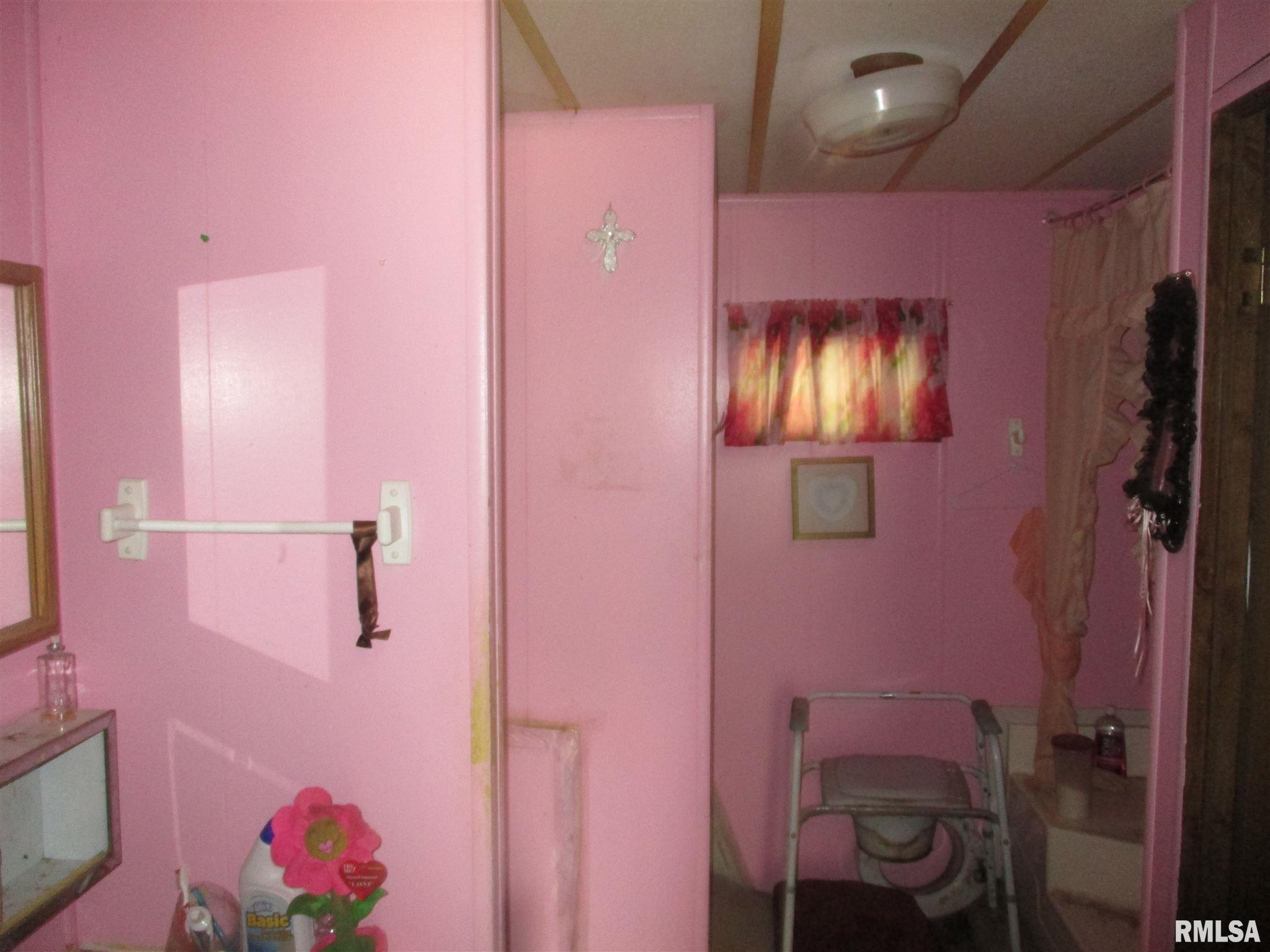 8335 Coello Hill Road Mulkeytown, IL 62865 - Photo 7 of 12