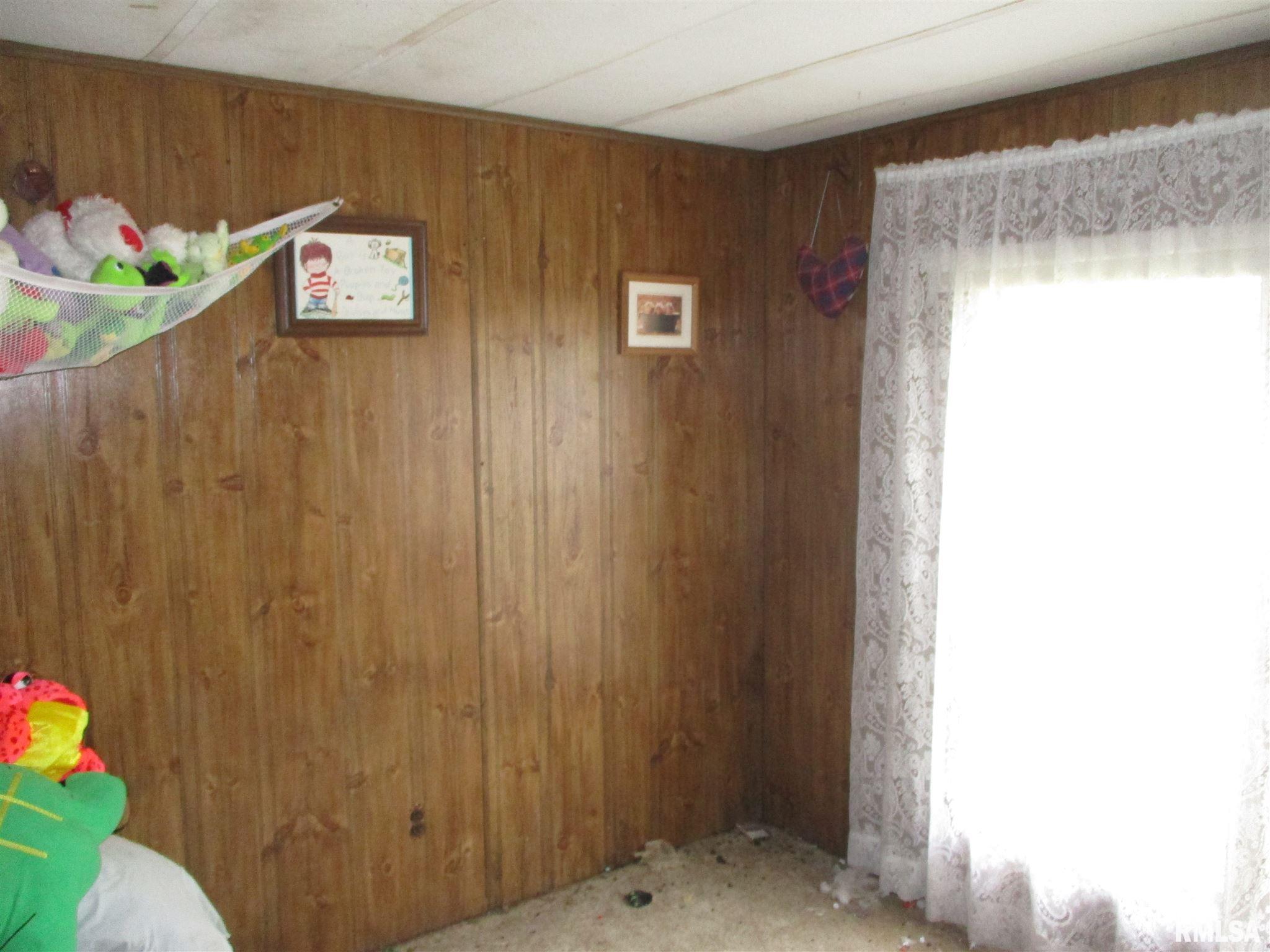8335 Coello Hill Road Mulkeytown, IL 62865 - Photo 9 of 12