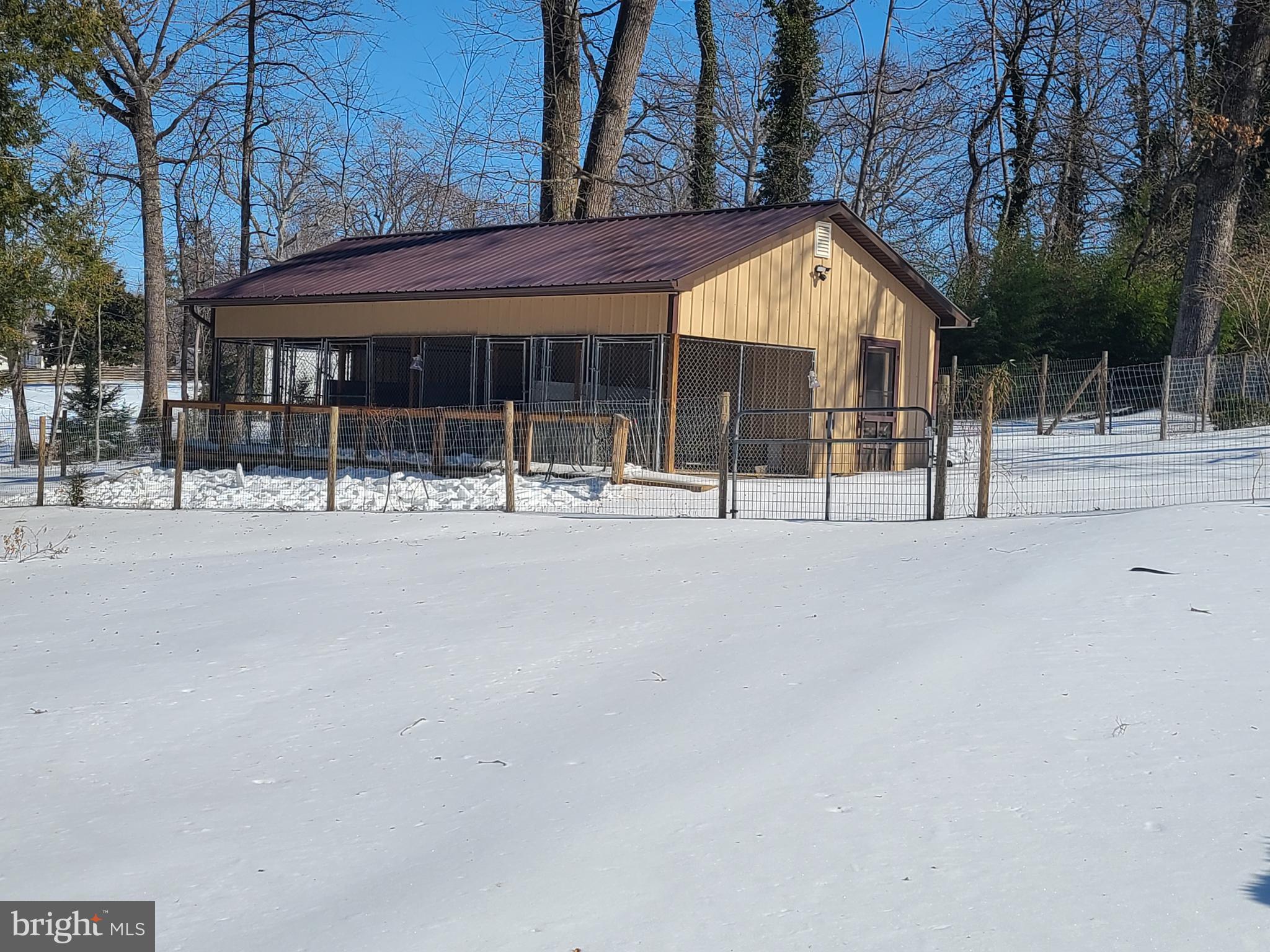 256 North Blue Ridge Turnpike Madison, VA 22727 - Photo 42 of 60 Kennels