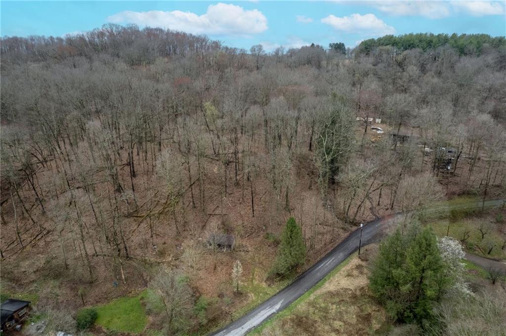 a view of a forest with a yard and mountain view