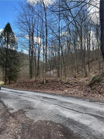 a view of a backyard with green space