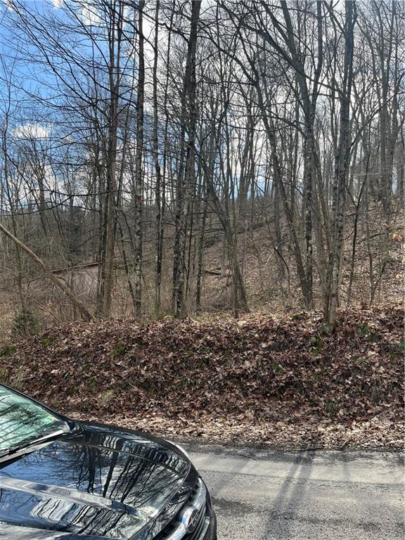 0 Platt Road Clinton, PA 15026 - Photo 12 of 14 a view of a backyard with large trees