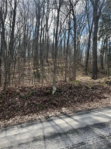 a view of a yard with trees