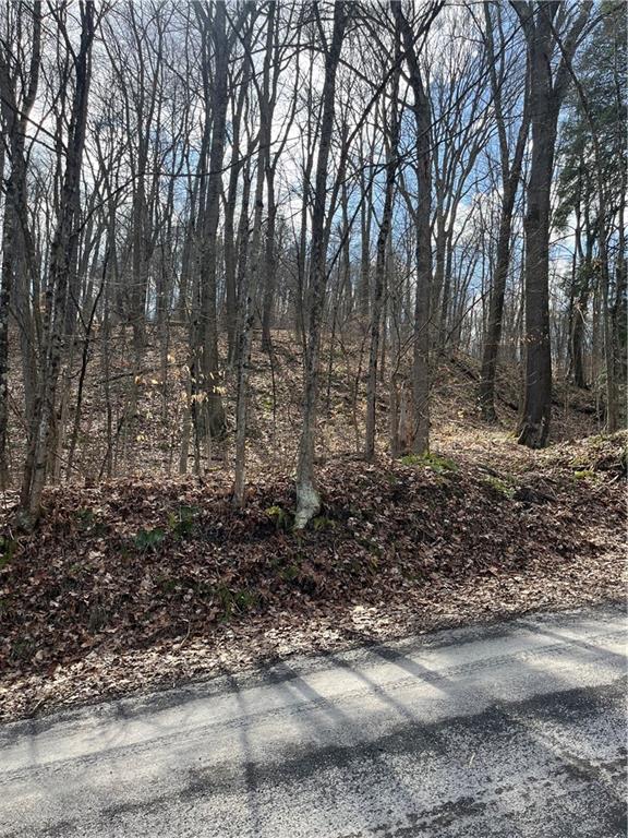 0 Platt Road Clinton, PA 15026 - Photo 13 of 14 a view of a yard with trees