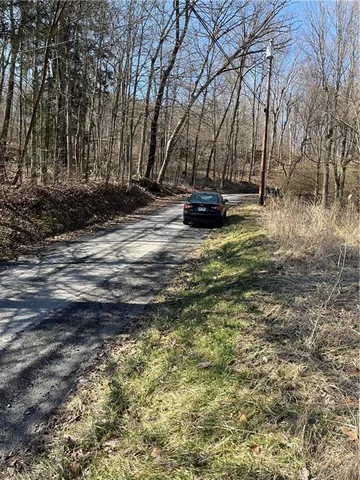 a view of yard with large trees