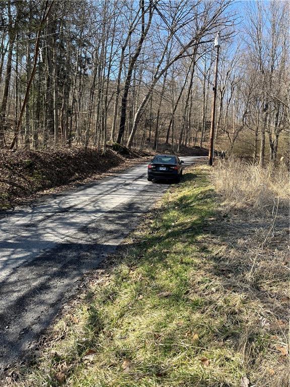 0 Platt Road Clinton, PA 15026 - Photo 14 of 14 a view of yard with large trees