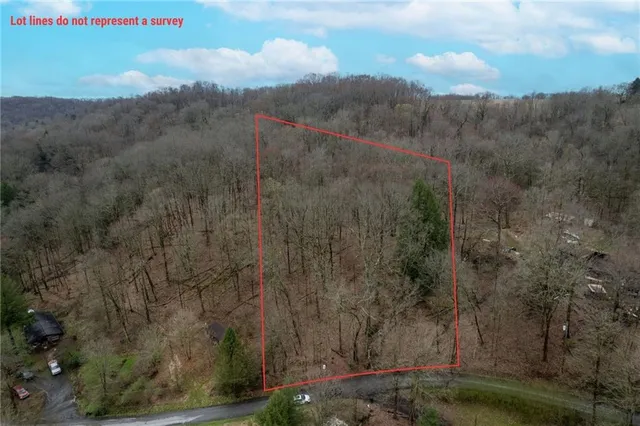 a view of a forest with a forest